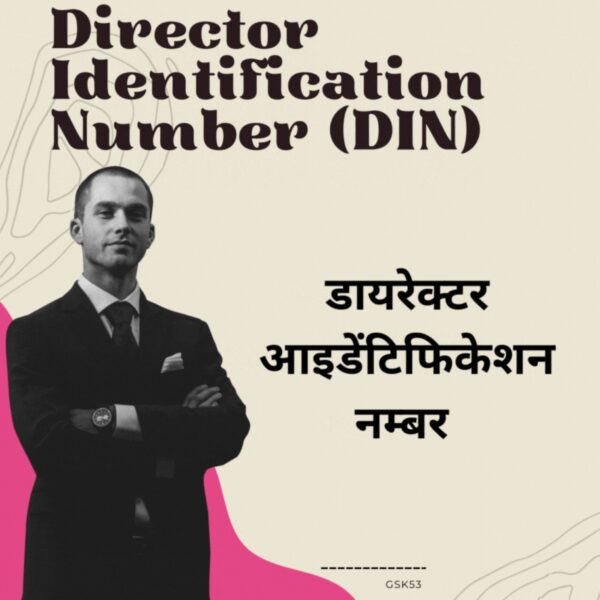 Director Identification Number (Single DIN) (Gov Fees Extra)